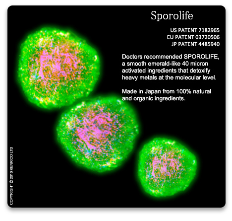 Sporolife at Molecular Level